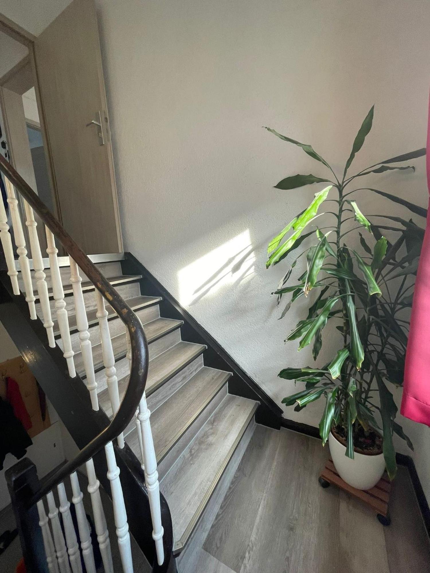 Leo Apartment Zentrum Ruesselsheim Ngoại thất bức ảnh